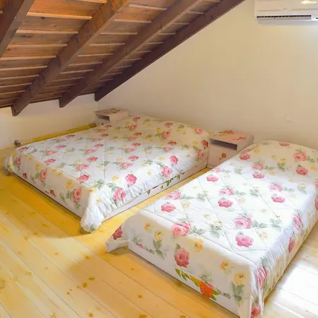 Therianos Traditional Каллифея