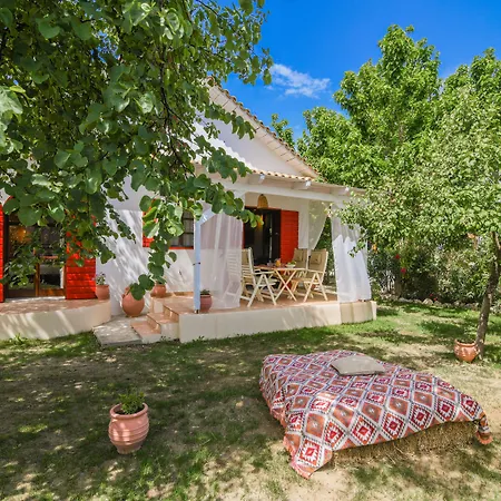 Therianos Traditional Калитеа