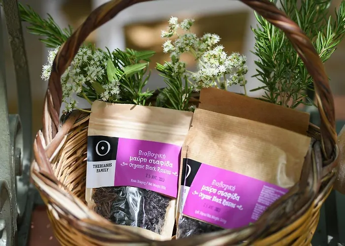 Therianos Traditional *