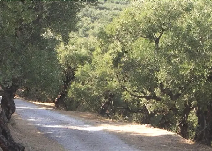 Therianos Traditional Farmház