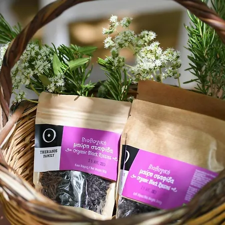 Therianos Traditional *