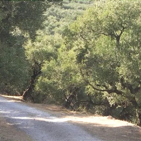 Therianos Traditional Farm stay