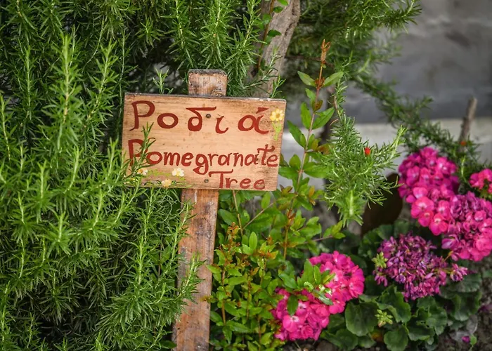 Therianos Traditional *